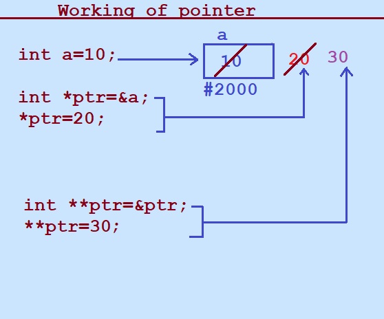 Uses and features of pointer in C programming Language.